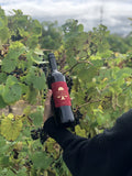 S&G Cabernet 6pk
