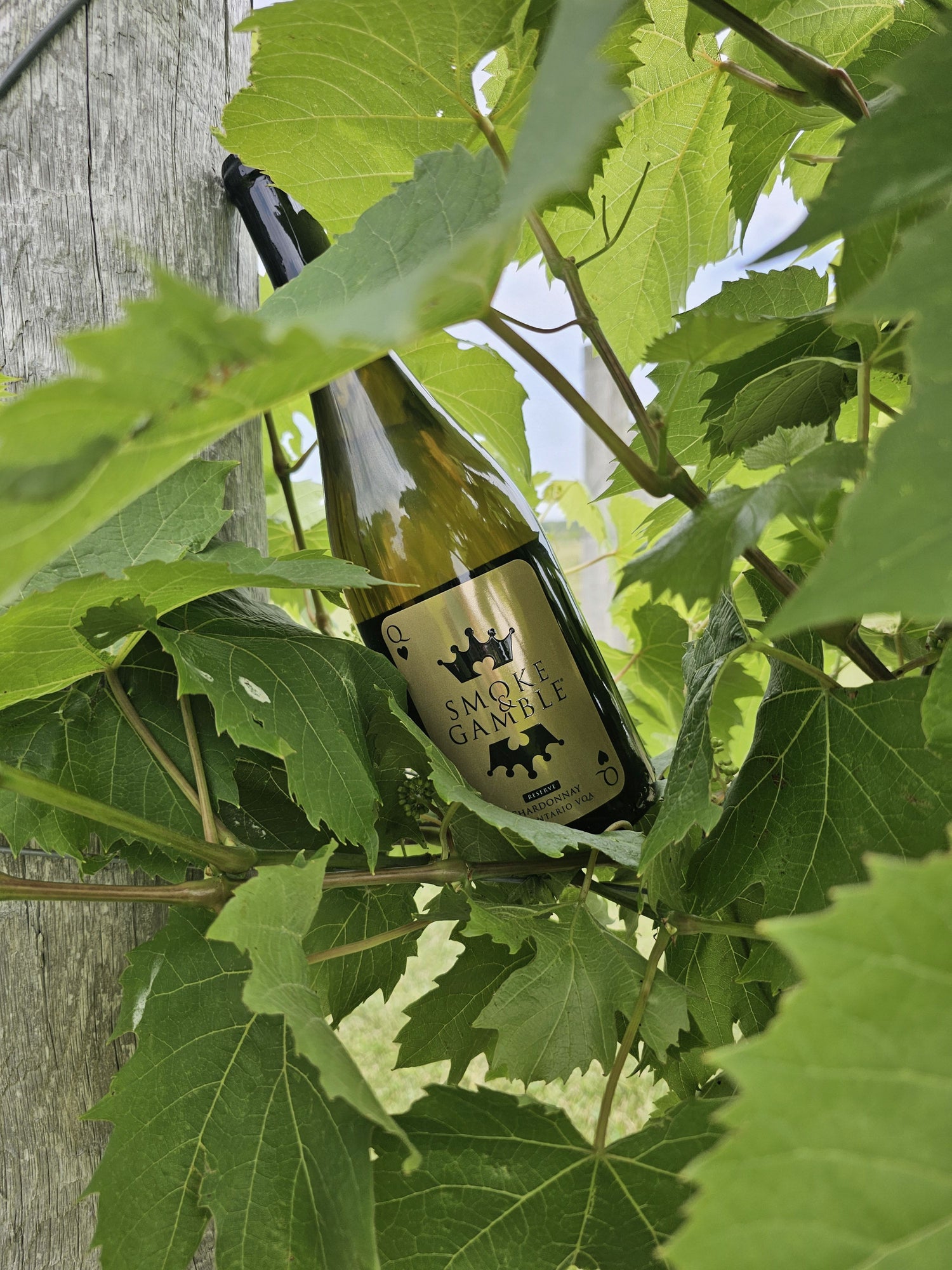 S&G Chardonnay RSV 3plus1
