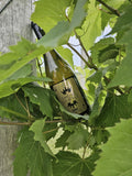 S&G Chardonnay RSV mag6pk