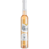 Frigid Beaver 1F