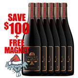 S&G Pit Boss RSV mag6pk